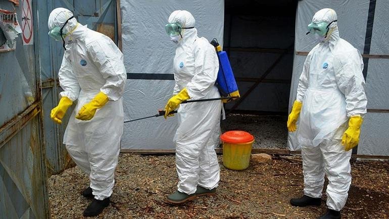Ebola - STIRIHUB