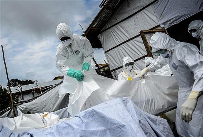 Ebola - STIRIHUB